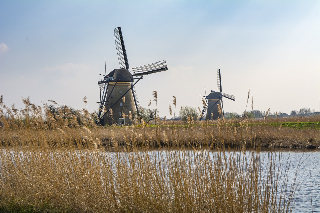 Leuke uitjes in eigen land